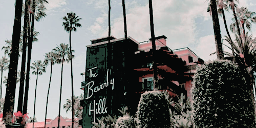 Rodeo Drive